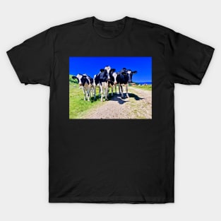 Cows on the Alm T-Shirt